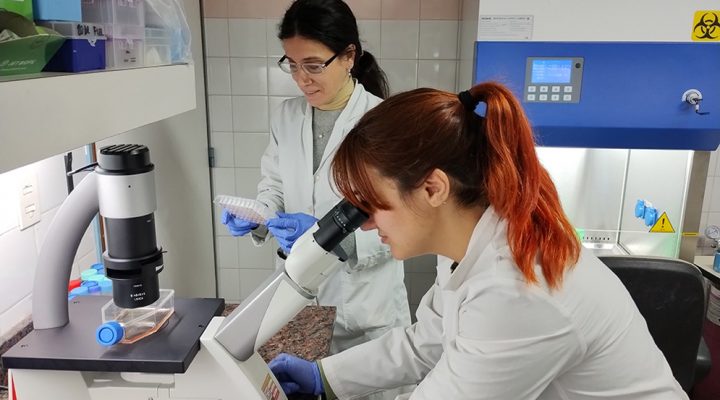 Un equipo del CONICET estudió el papel de los anticuerpos en el desarrollo de un virus que afecta a menores de un año